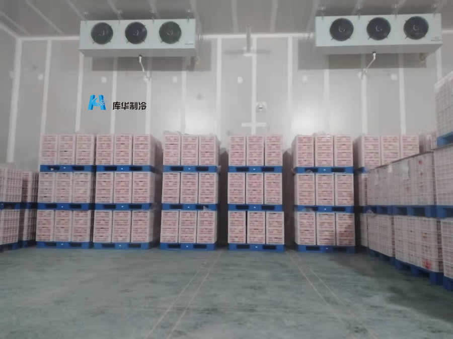 普通保鮮冷庫與氣調冷庫的區別有哪些？