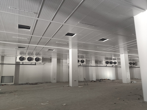 存200噸貨需要多大面積冷庫？造價多少？