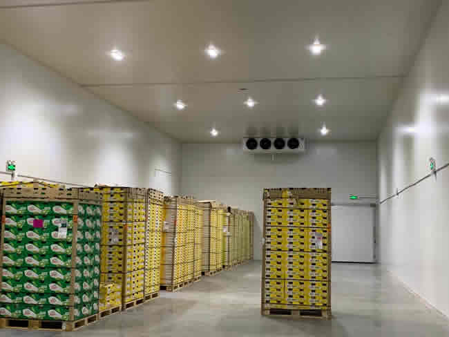 100噸蘋(píng)果保鮮冷庫(kù)造價(jià)需要多少錢(qián)